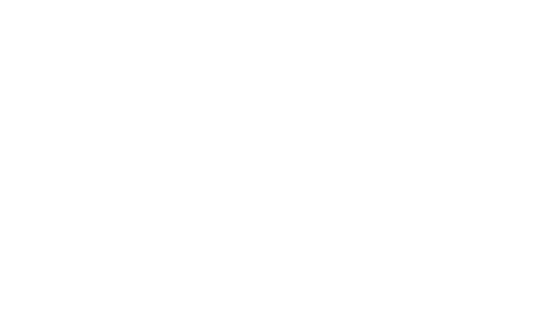 netsuite-logo-white