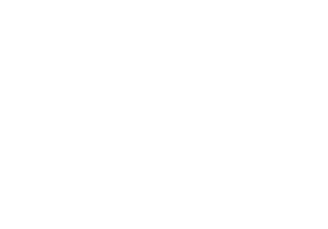salesforce+white+final