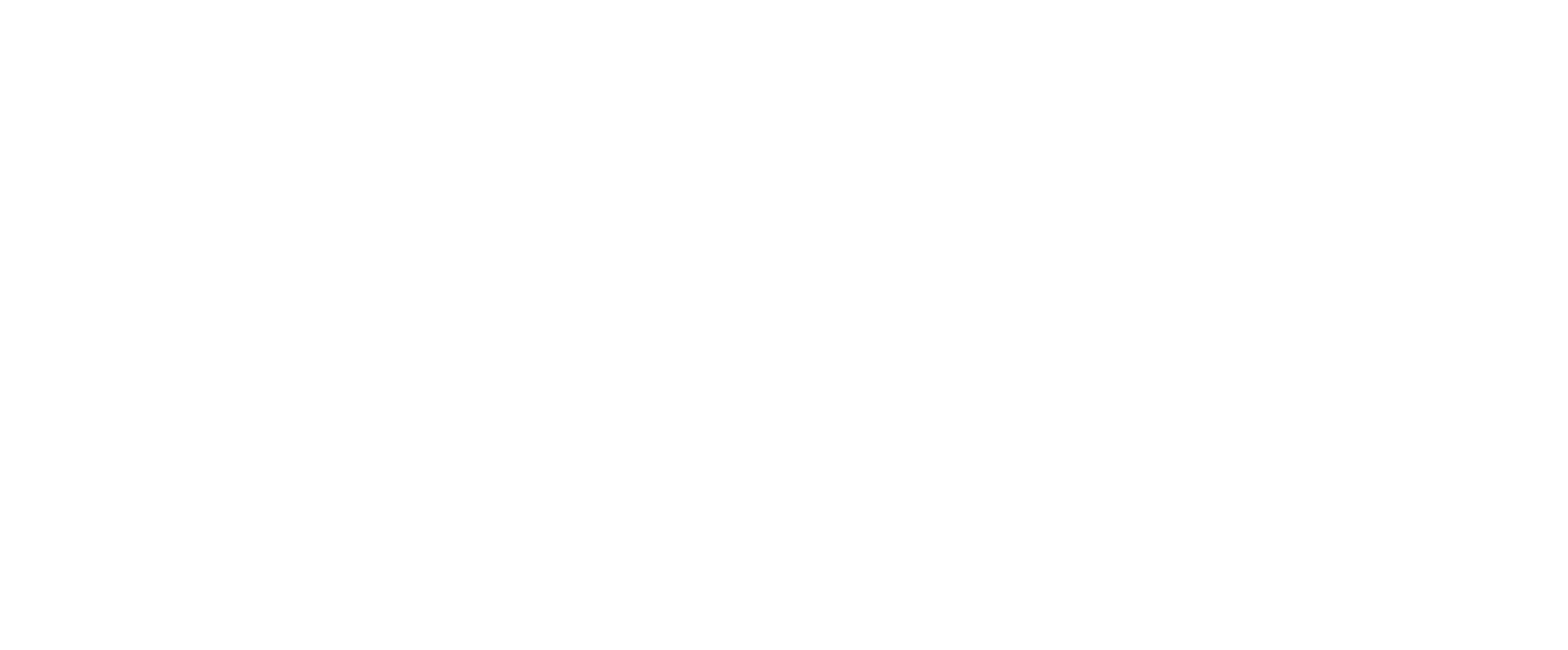 stripe-logo-white